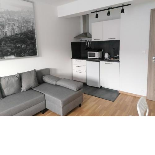 Brand new studio apartment # 45 with free parking in the city center