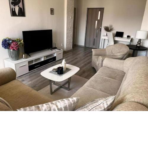 Bright and Comfy Apartment with Free Parking