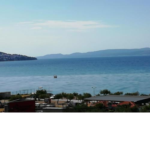 Bugenvilija