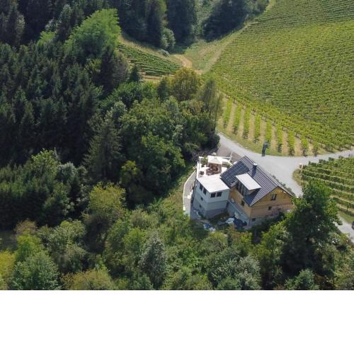 Bullas Weinlandstudio