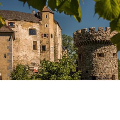 Burg Plankenstein