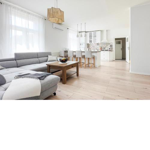 Business & Family Apartment Letna