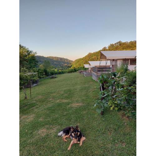 Camping Sretanwolf