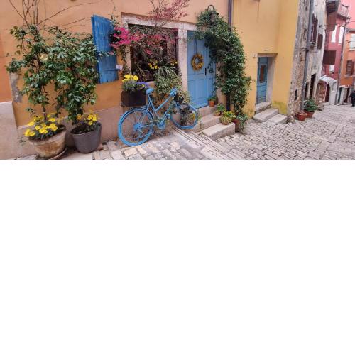 Casa 39 Apartments