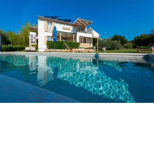 Casa Bamboo
