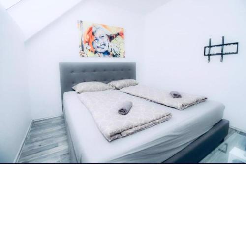 Central 4BR Shared Apartment with Terrace 10-Min Walk to Augarten