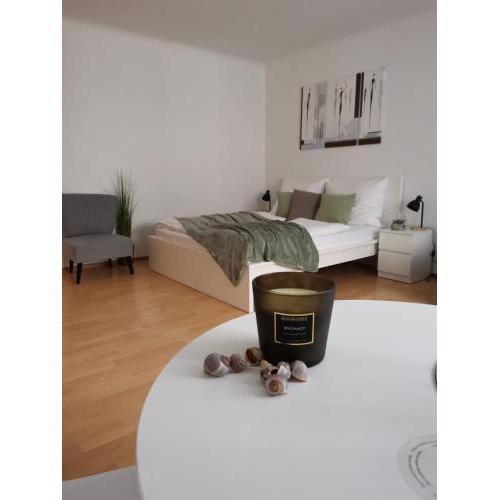 Central Alpha Apartment 7min to the city centar