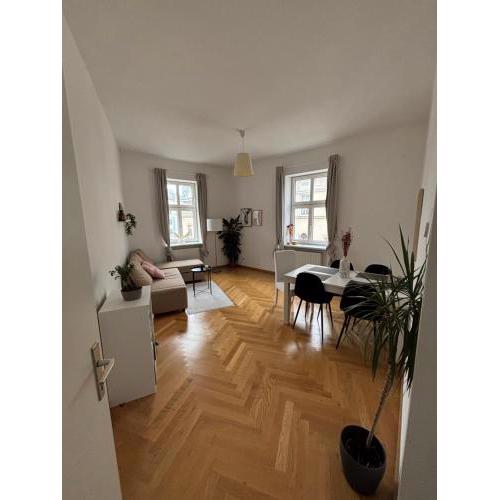 Central apartment - 8th district