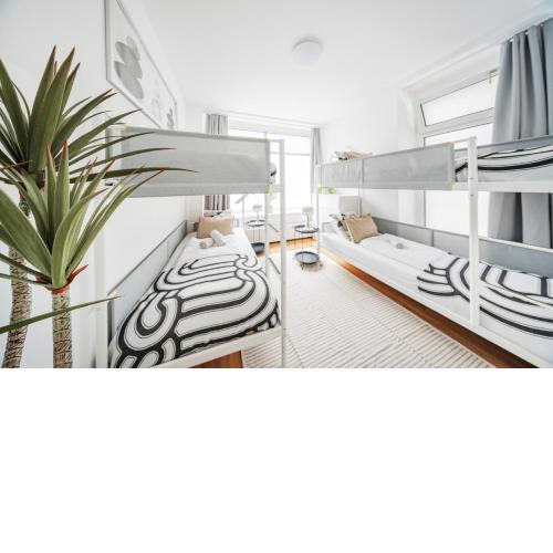 Central Apartment Lofts
