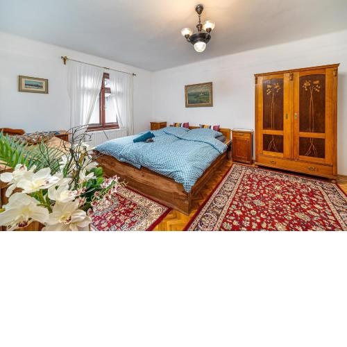 Central apartment