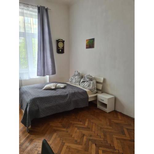 Central City Apartment 131