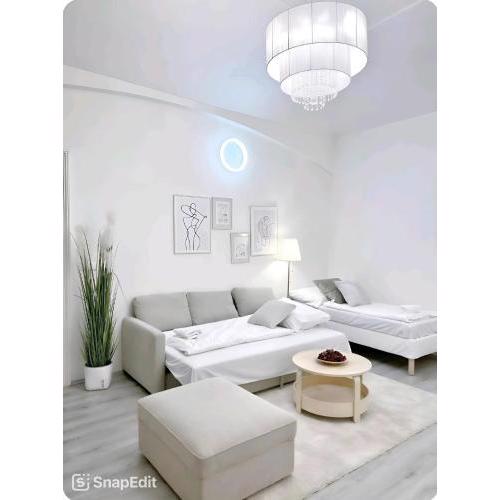 Centrum Praha 1 Apartmán 95m2