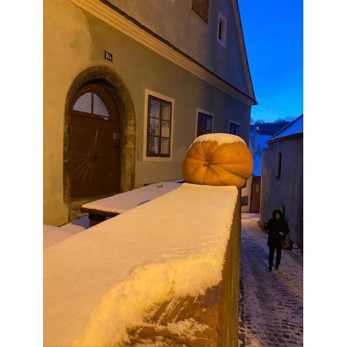 Cesky Krumlov centrum ap 6