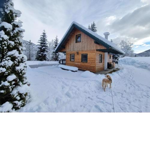 Chalet am Teich Familie Gänser
