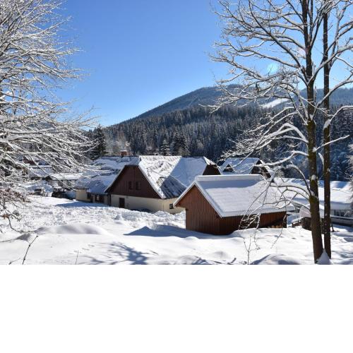 Chalet Anenské údolí by Interhome