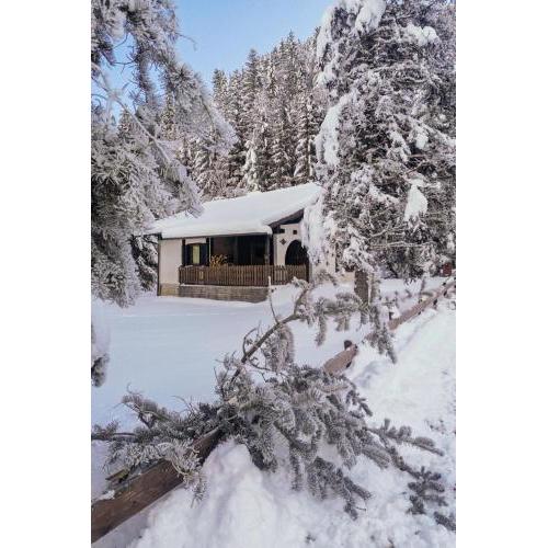 Chalet Bodental 28 by Interhome
