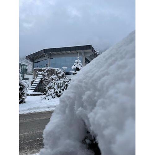 Chalet CityXPress Zell am See