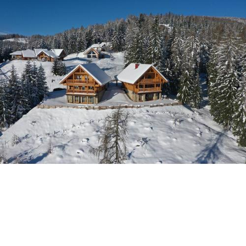 Chalet Hochrindl 2 B