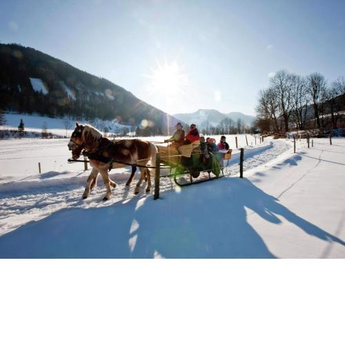 Chalet in Hohentauern with sauna and hot tub