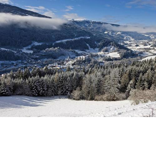 Chalet in Stadl an der Mur Styria near ski area