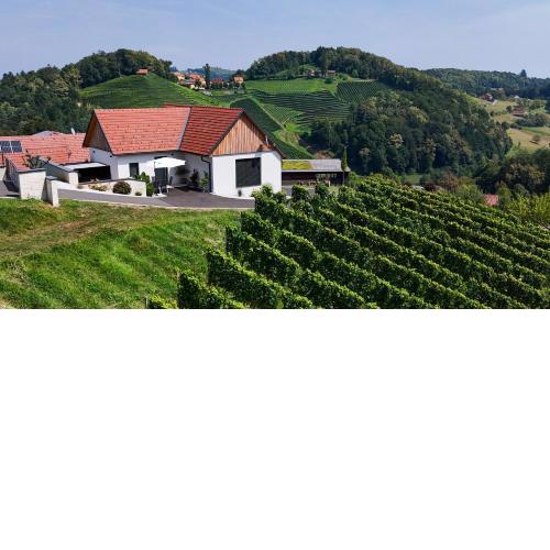 Chalet Sgarz