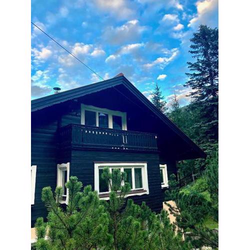 CHALET Sophie & Max in Bad Gastein