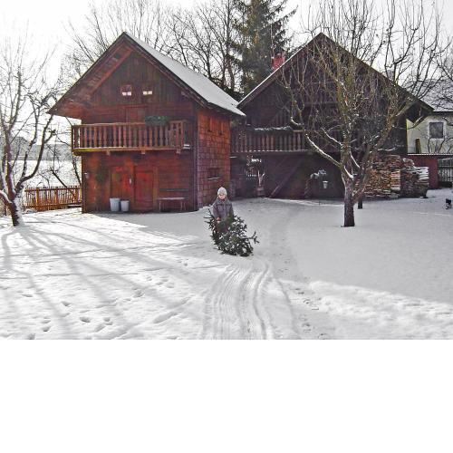 Chalet Troadkasten by Interhome
