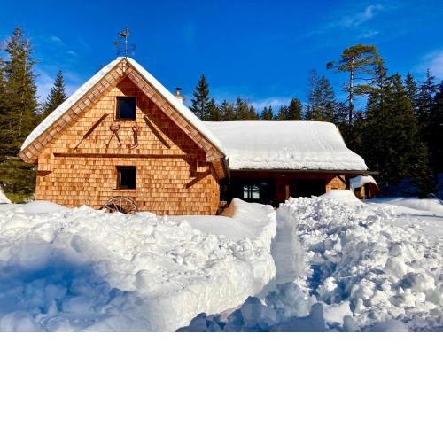Chalet Wildalpen (in Ruhelage & mit Wellness)