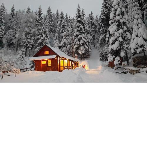 Chalet Woody