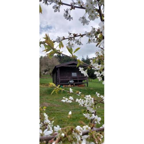 Chata na samotě, Šumava