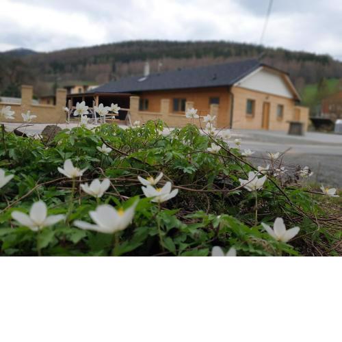 ChataTrucovna, wellnes