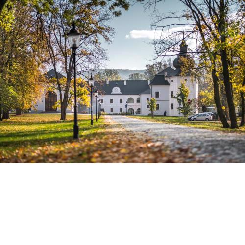 Chateau Appony