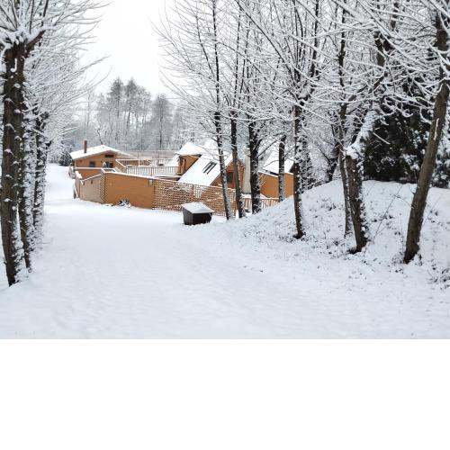 Chaty pod Sokolím Hřbetem