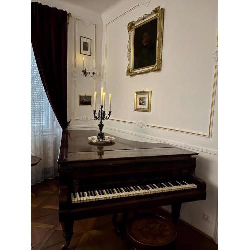 City-Apartment S