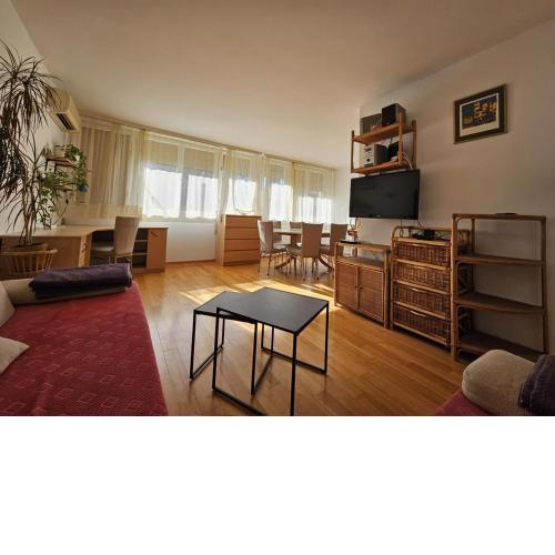 City Apartment Sonya