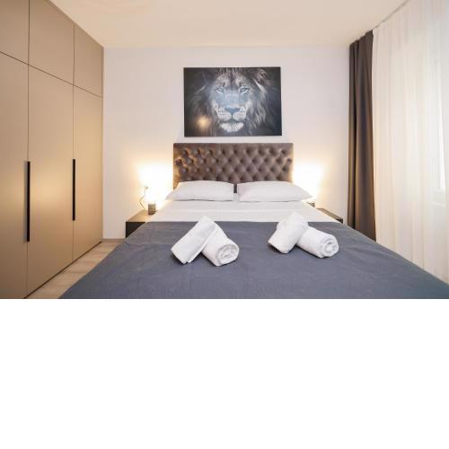 Classy apartments in city centar
