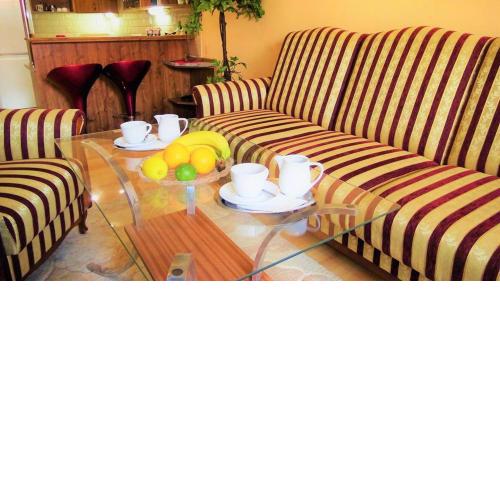 Comfort Apartment 22