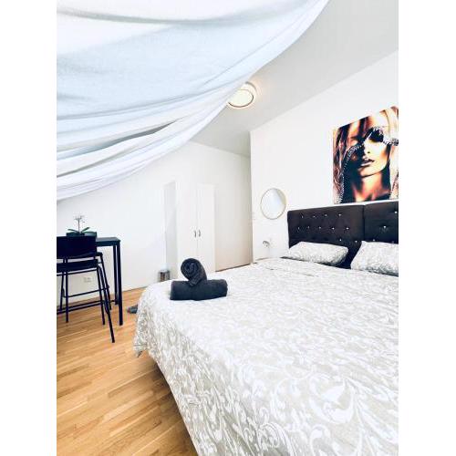 Comfy 4BR Apt- Nearby Schönbrunn