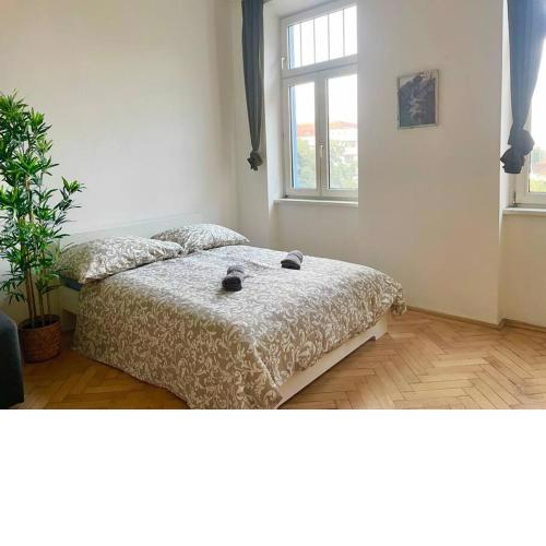 Comfy Flat Close to Subway