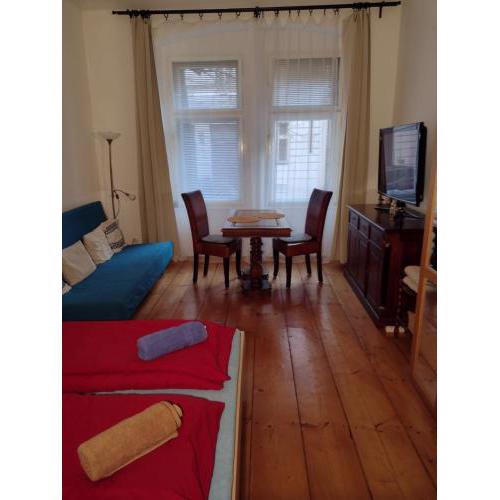 Comfy home in Vinohrady