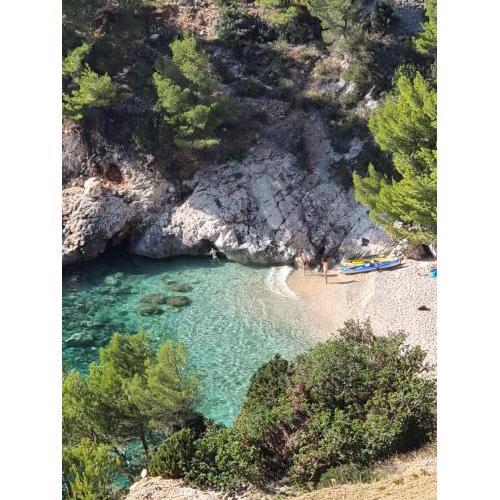 Corinna Zavala Resort
