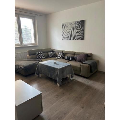 Cosy apartment near the center