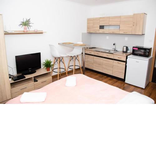COSY STUDIO IN NOVE ZAMKY