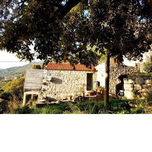 Cottage Melita the Apartment for Animal Lovers