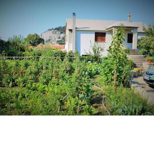 Countryside getaway close to the river and the sea
