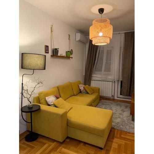 Cozy 1-bedroom apartment- SOFI