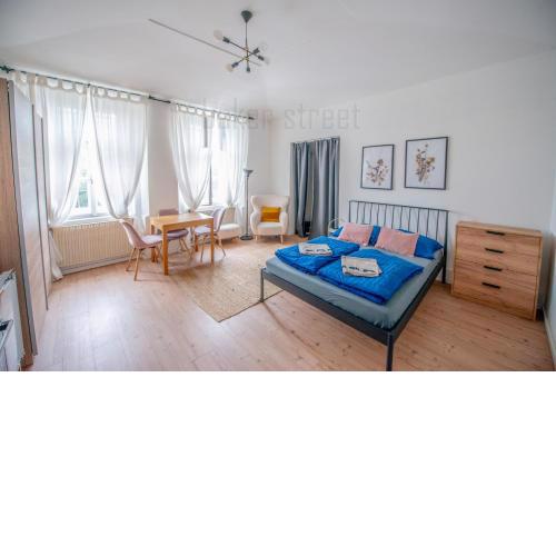 Cozy apartment close to Palmovka