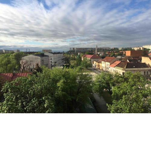 Cozy apartment close to the city centre