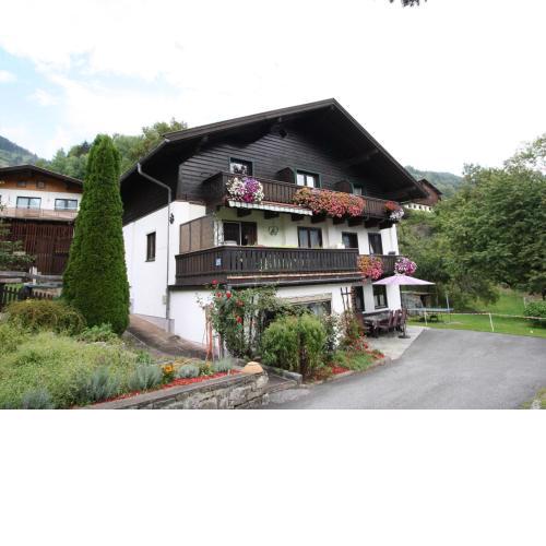 Cozy Apartment in Niedernsill near lake