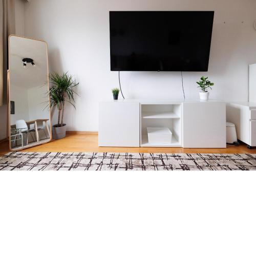 Cozy Apartment near Center